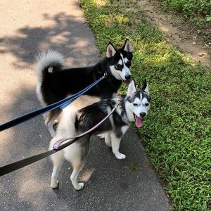 Meet your Posher, Liliana